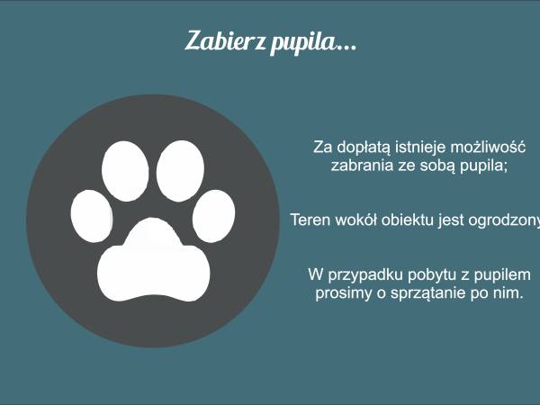 Apartament z widokiem na... jezioro, las, oraz ciszę w Swornychgaciach