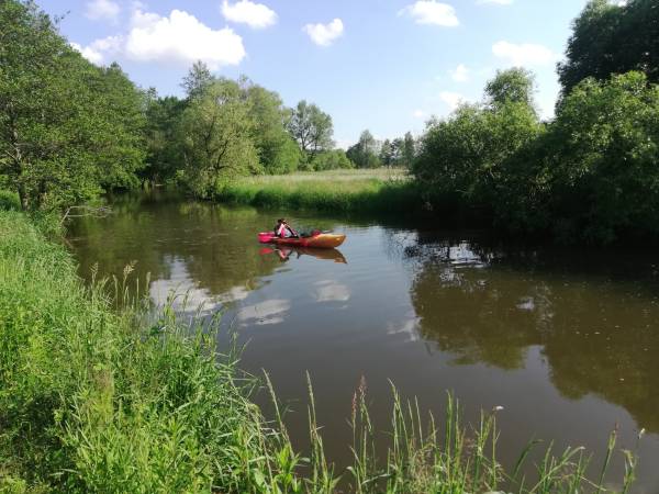 Agroturystyka Domki Nad Rzeką Bałtów Kajaki, Rowery, Basen, JACUZZI 