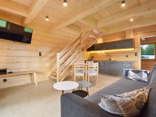 salon z aneksem kuchennym