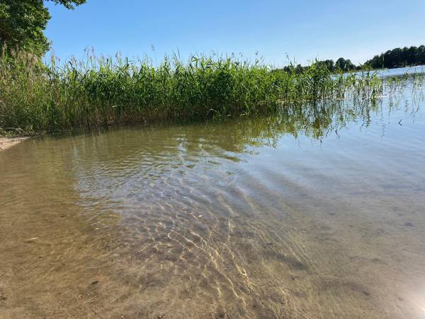 plaża / jezioro Kalwa