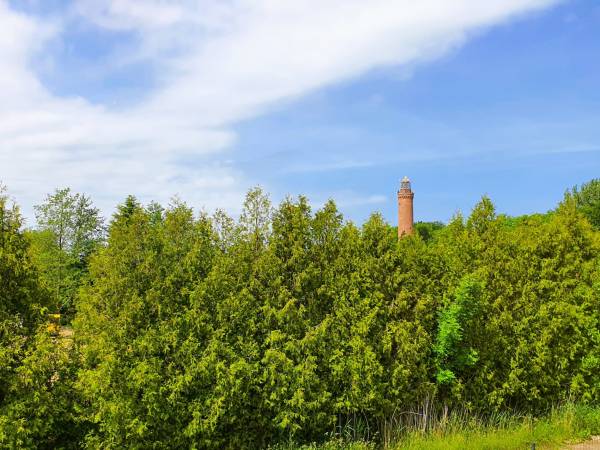 Kolorowe Domki, widok z okna