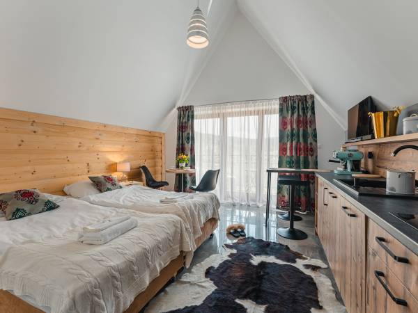 Studio typu superior z balkonem i widokiem na góry