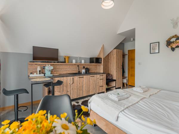 Studio typu superior z balkonem i widokiem na góry