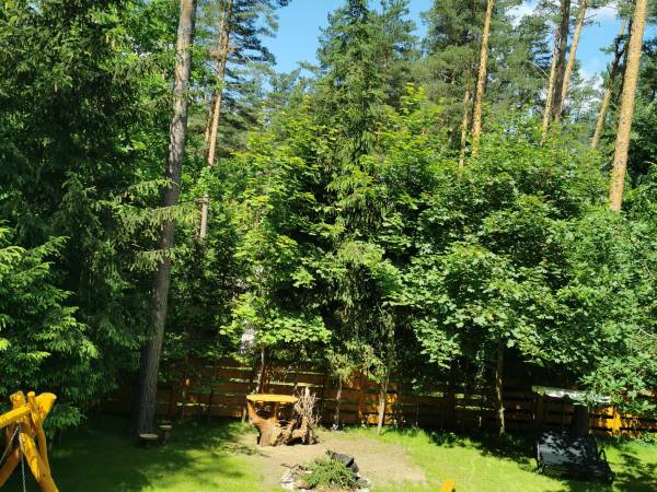 Dom nad jeziorem Gim