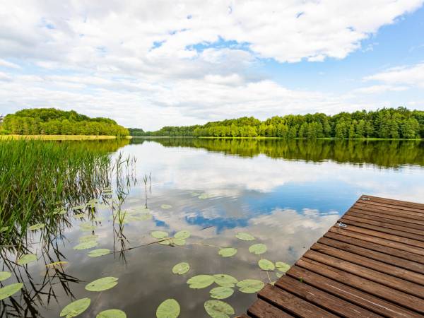 Domki na Kaszubach Liniewo