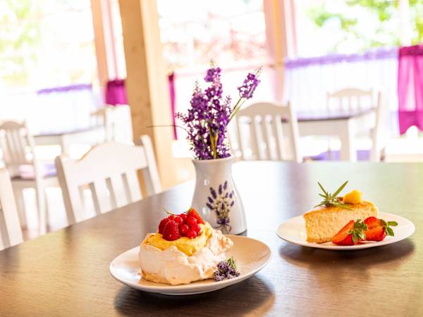 Domki, Apartamenty Lawendowa Wyspa 