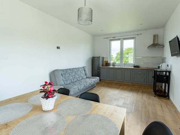 Pokój wypoczynkowy z aneksem kuchennym