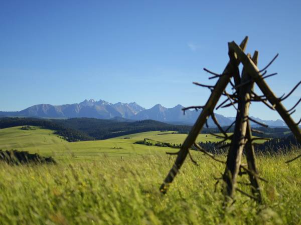 Apartamenty u Znańca