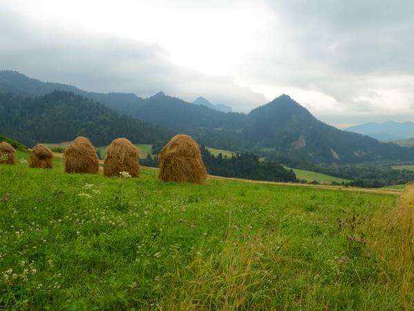 Apartamenty u Znańca