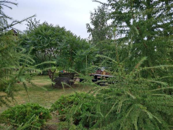 Dom Wczasowy Pięciu Pomostów i Nad Drawskim