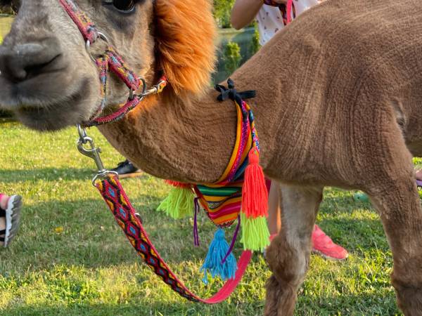 Ośrodek Wypoczynkowy ARENA w OKUNINCE
