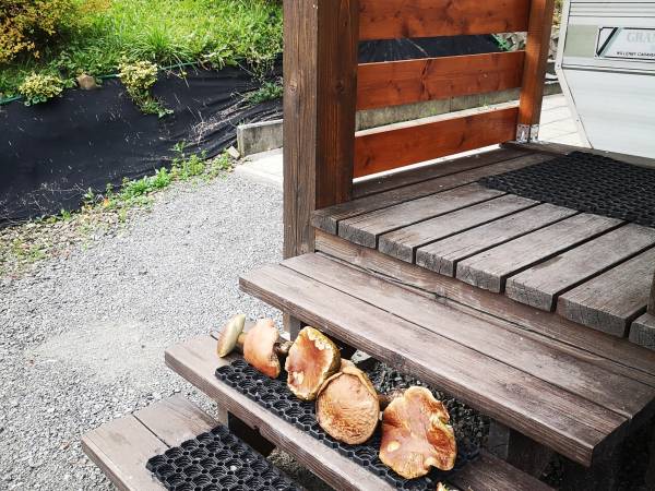 Domki letniskowe Śniegocinka