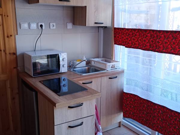 apartament góralski - aneks kuchenny