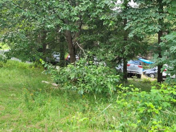 Imprezownia /Wiata /szałas w lesie, ewentualnie z polem campingowym/namiotowym