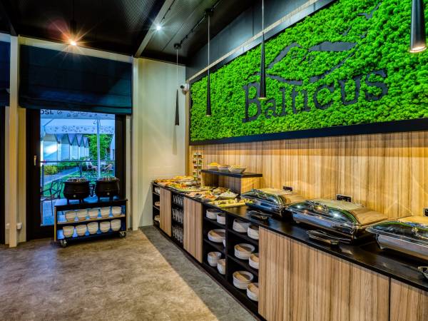 Komfortowe domki Balticus 