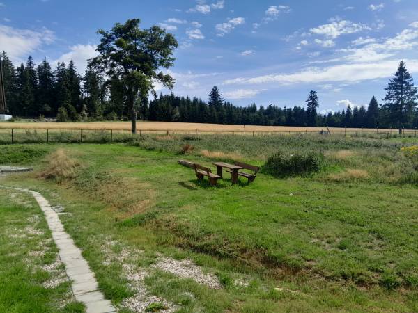 Apartamenty pod Jagodną w Spalonej