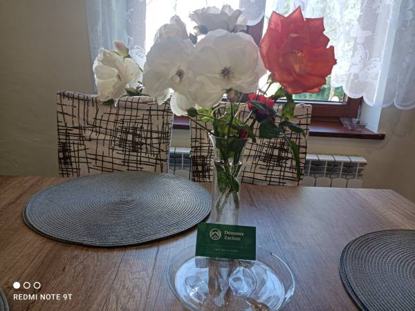 Domowe Zacisze w Nickulinie