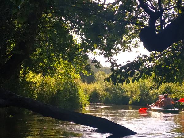 spływ kajakowy rzeką Wieprz
