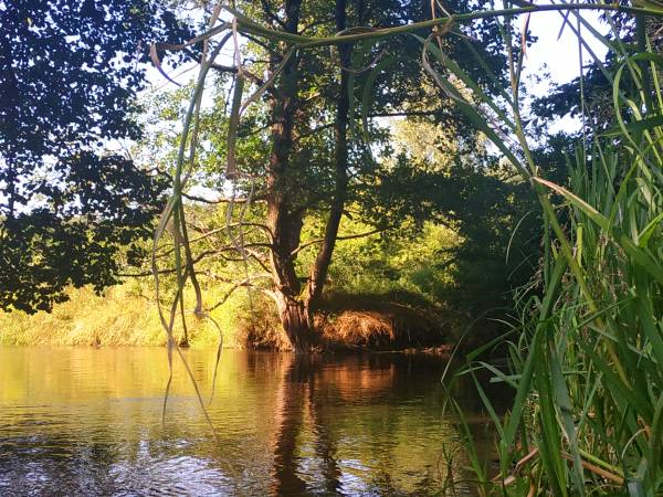 Apartament Slowly Zamość - na wyłączność, z ogrodem
