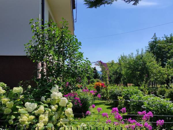 Ogród pełen kolorów