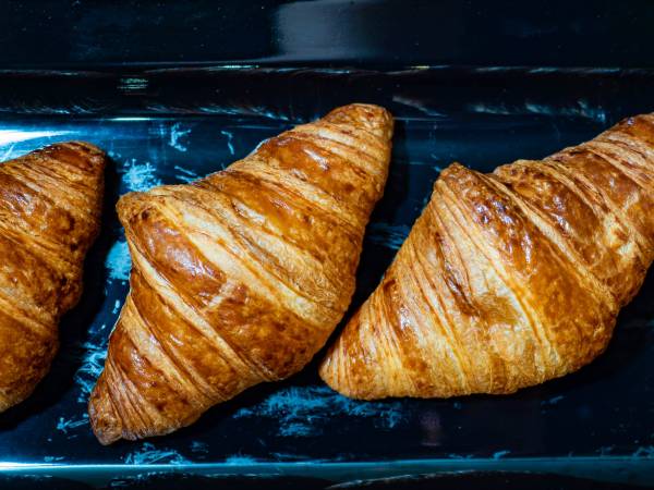 Komfortowe domki Balticus 