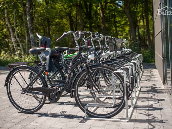 Komfortowe domki Balticus 