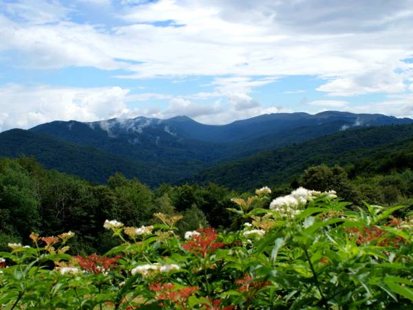 Gościniec pod Jaskiniami