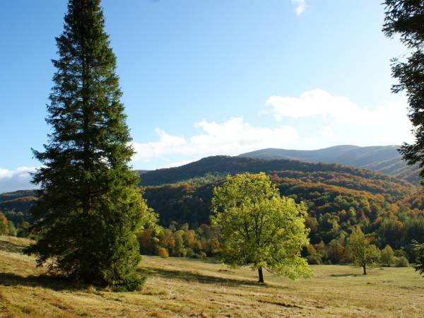 Gościniec pod Jaskiniami