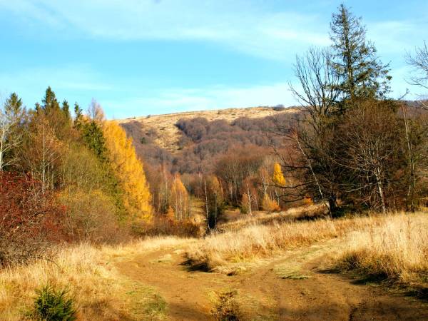 Gościniec pod Jaskiniami