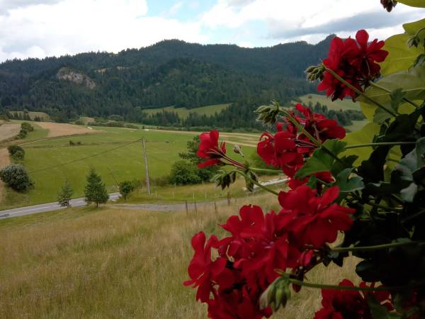Agroturystyka Pod Zamczyskiem 