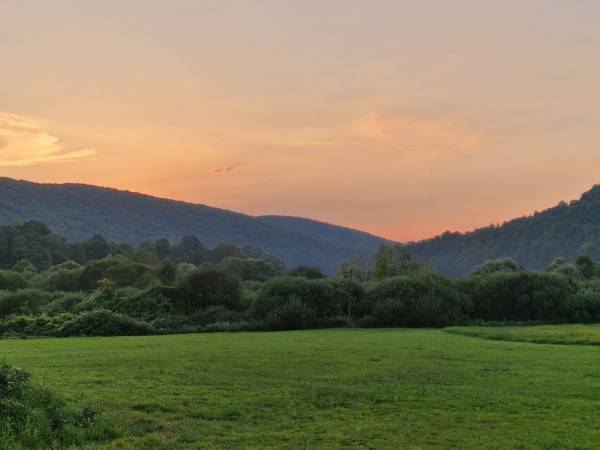 Apartamenty Pan Damazy