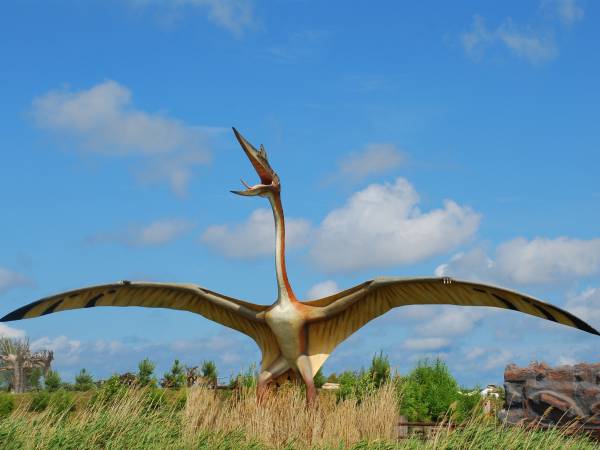 Apartament Lazurowy z basenem Łeba