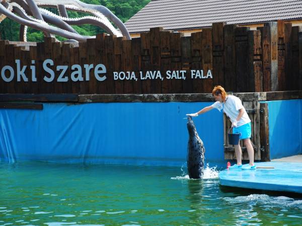 Apartament Lazurowy z basenem Łeba