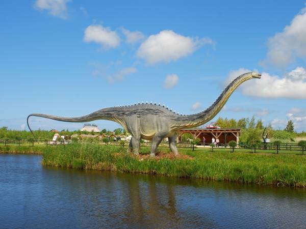 Apartament Lazurowy z basenem Łeba