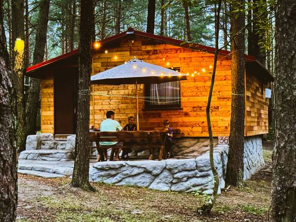 Wpadnij do lasu , domki nad jeziorem 