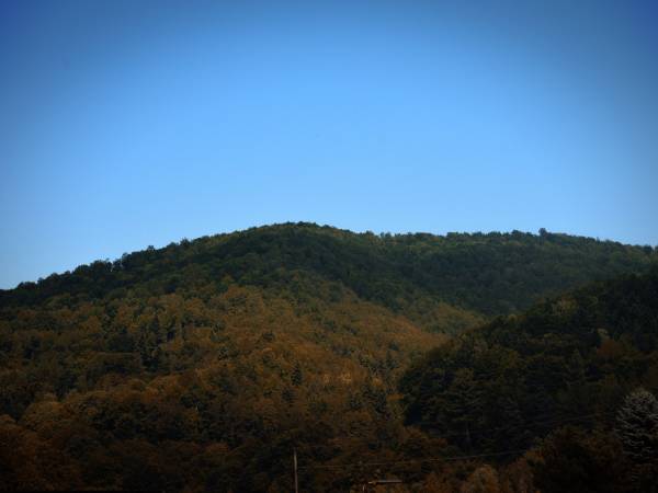 Domki Między Wzgórzami