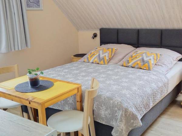 pokój 2-osobowy z łazienką i aneksem kuchennym 