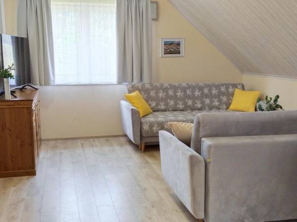 salon w apartamencie 2-pokojowym