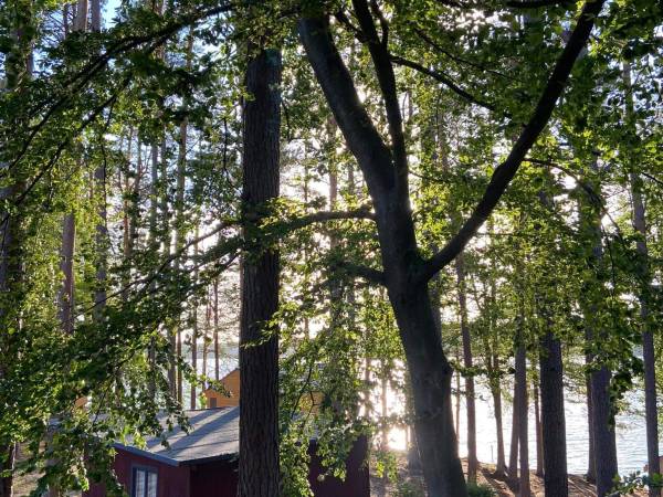 Domki na Kaszubach nad Jeziorem Mausz