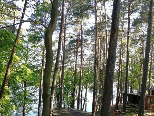 Domki na Kaszubach nad Jeziorem Mausz