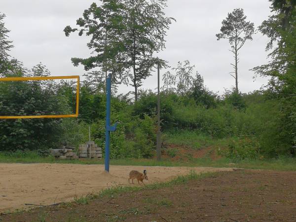 Domki na Kaszubach nad Jeziorem Mausz