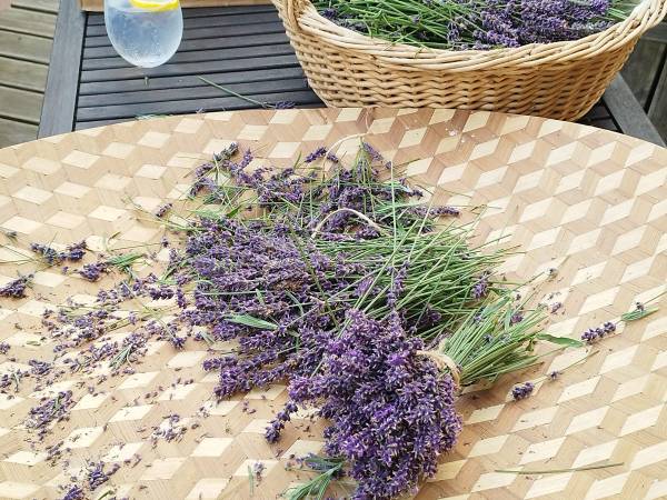 Dom Pod Lipami - Barbara i Leszek Kowalscy