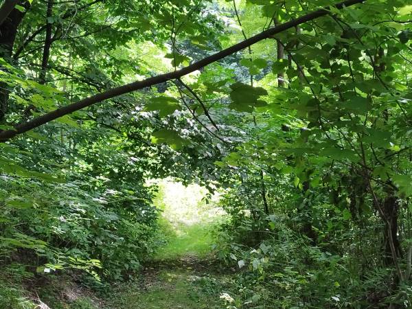 Dom Pod Lipami - Barbara i Leszek Kowalscy