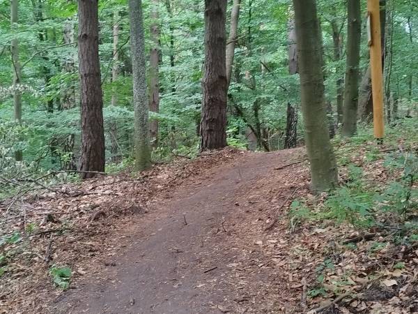 Dom Pod Lipami - Barbara i Leszek Kowalscy