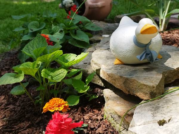 Dom Pod Lipami - Barbara i Leszek Kowalscy