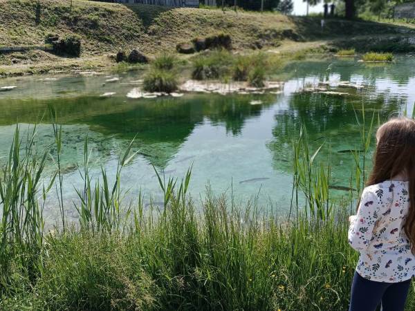 Dom Pod Lipami - Barbara i Leszek Kowalscy