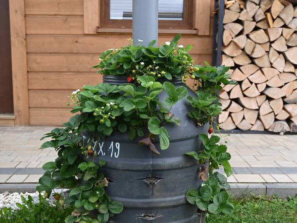 Domek całoroczny z kominkiem