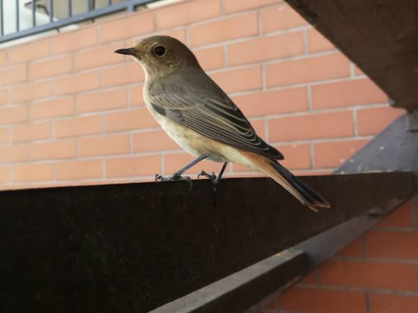 Domki na Kaszubach nad Jeziorem Mausz