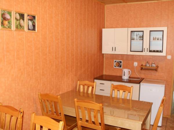 Świetlico - jadalnia z aneksem kuchennym i TV.