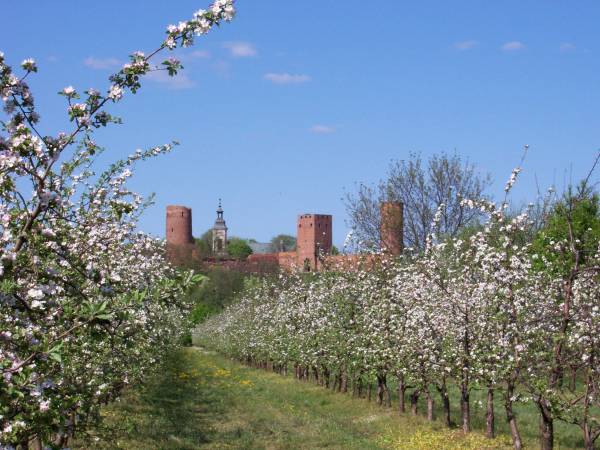 Zamek Kąsiążąt Mazowieckich 300 m od gospodarstwa